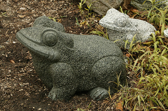 frog granite